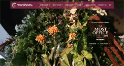 Desktop Screenshot of morphoza.com